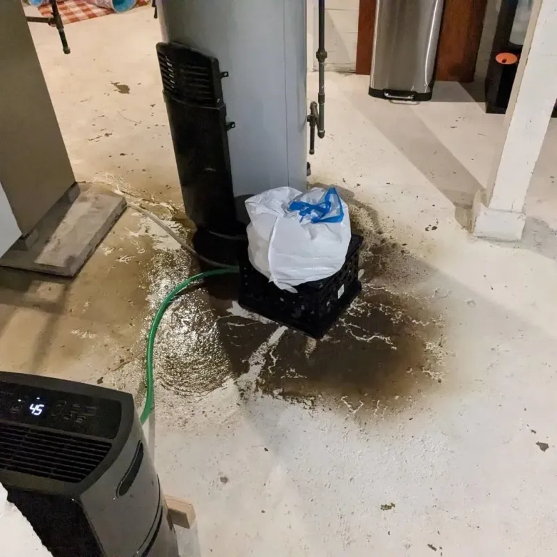 Sewage Backup Cleanup Service in Carver Ranches, FL